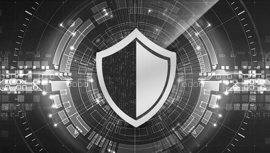 Eliminate Evolving Security Risks With Network Edge Protection