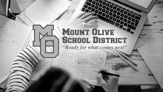 Mount Olive Township School District